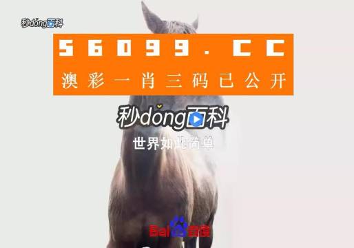 香港內(nèi)部公開(kāi)資料一碼，深度解析與探索，香港內(nèi)部公開(kāi)資料一碼深度解析與探索揭秘