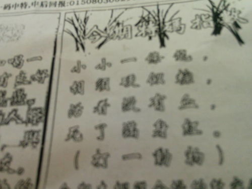 揭秘必中劉伯溫猜一生肖的神秘面紗，揭秘劉伯溫生肖預(yù)測背后的神秘面紗