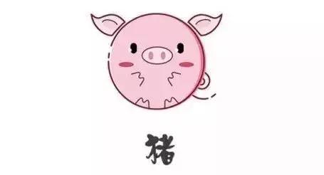 今晚一定出準(zhǔn)確生肖預(yù)測，揭秘生肖運勢的秘密，揭秘生肖運勢秘密，今晚準(zhǔn)確生肖預(yù)測揭曉！