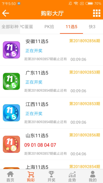 王中王資料一肖一特，深度解析與探索，王中王資料一肖一特，深度解析與探索揭秘