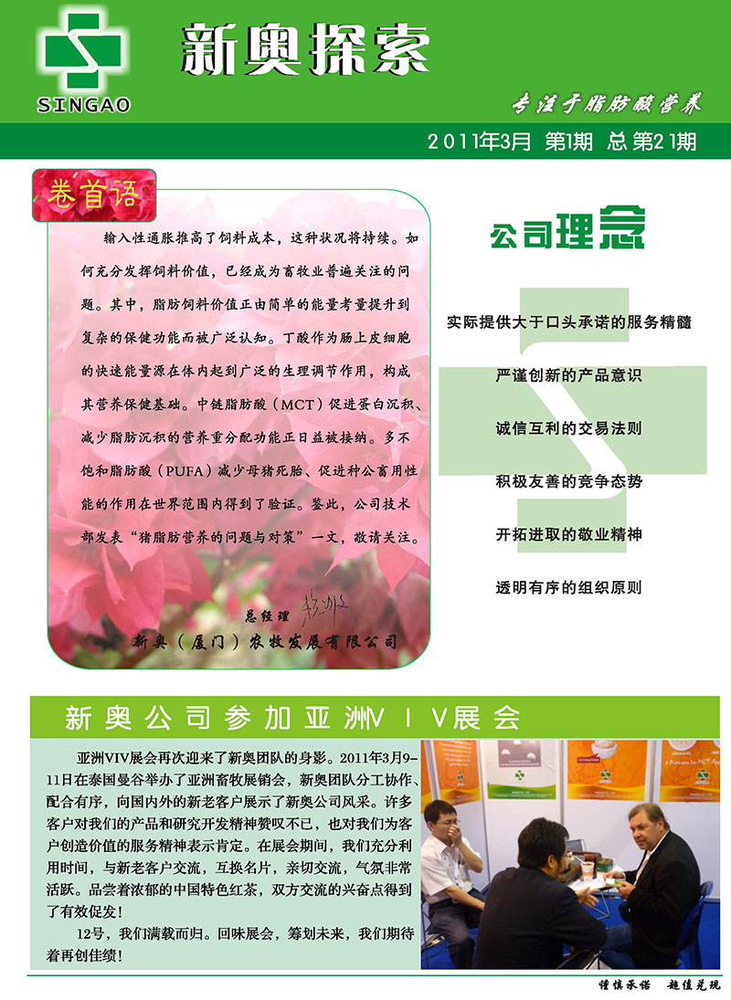 2025新澳精準(zhǔn)正版資料，全面解析與深度探索，2025新澳正版資料全面解析與深度探索
