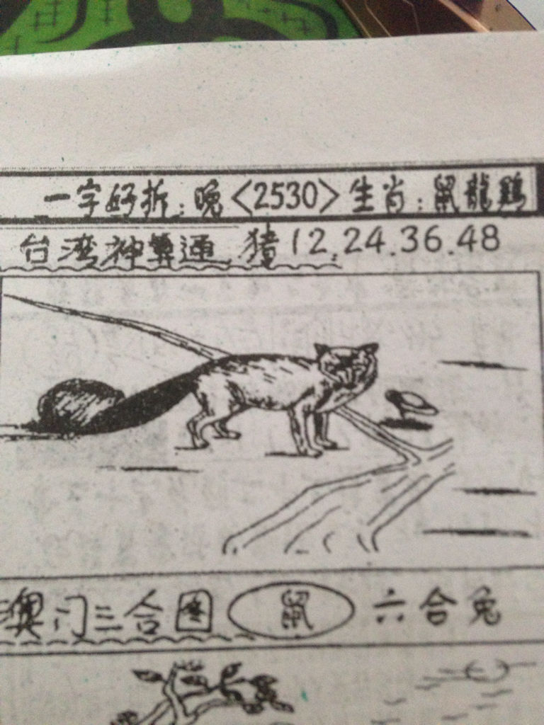 揭秘生肖奧秘，看圖猜一生肖劉伯溫的傳奇故事，揭秘生肖奧秘，劉伯溫傳奇故事中的生肖之謎探索