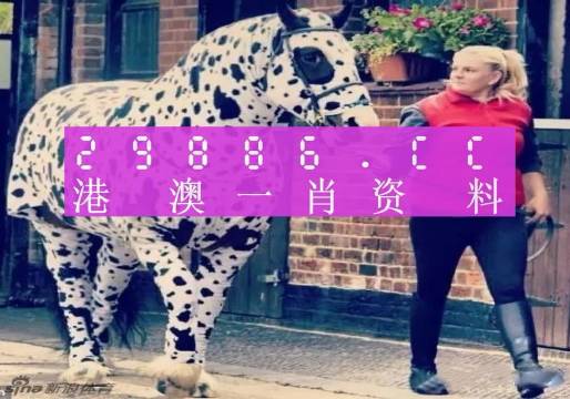 澳門王中王，揭秘一肖中特資料背后的秘密，澳門王中王揭秘，一肖中特資料背后的秘密傳奇