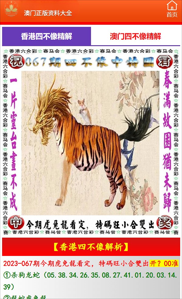 揭秘香港一碼一肖，真相究竟如何？，香港一碼一肖真相揭秘，探究背后的秘密？