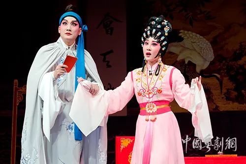 新澳門狀元紅中特網，探索與解析，澳門狀元紅中特網深度解析與探索