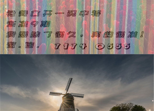 王中王四肖三期必出一期，揭秘彩票背后的秘密策略與技巧，揭秘彩票策略與技巧，王中王四肖三期必出一期之道