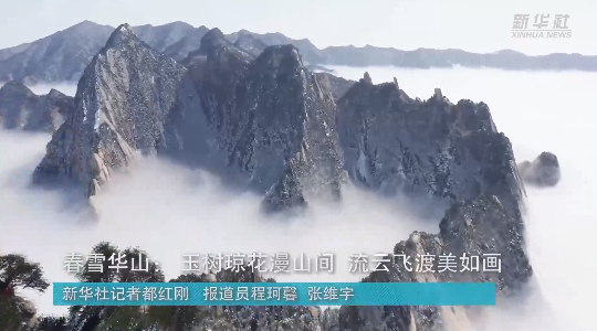 澳門最精準(zhǔn)龍門，探索真正的精準(zhǔn)之道，澳門最精準(zhǔn)龍門，揭秘真正的精準(zhǔn)之道