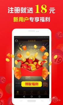 王中王的一肖，探尋背后的奧秘與故事，王中王的一肖，揭秘背后的奧秘與傳奇故事