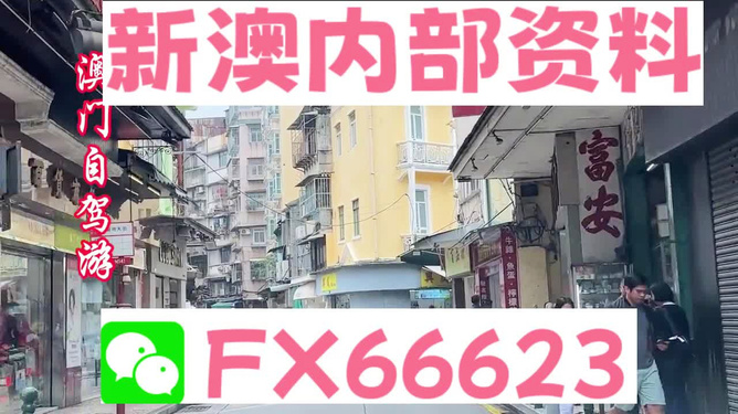 新澳精準(zhǔn)資料免費提供，探索與利用資源助力成功，新澳精準(zhǔn)資料免費分享，助力成功探索與利用資源