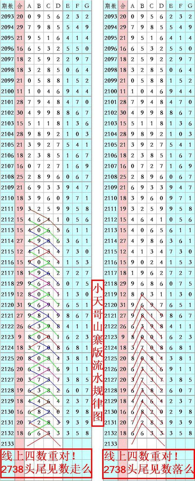 王中王資料一肖正特馬，深度解析與探索，王中王資料一肖正特馬深度解析與探索揭秘