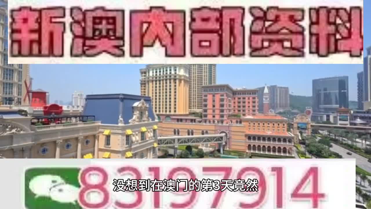 新澳門今晚必開一肖一特，探索生肖與特碼的魅力，澳門生肖特碼探索，今晚必開一肖一特之魅力