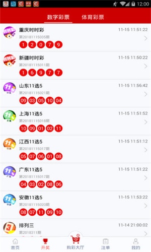一碼一肖，揭秘背后的秘密與探索其獨(dú)特魅力，揭秘一碼一肖背后的秘密與獨(dú)特魅力探索