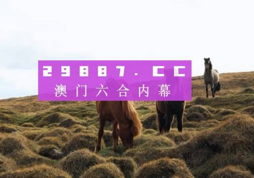 澳門六開獎結果2023開獎記錄查詢網(wǎng)站——全面解析與最新資訊，澳門六開獎結果最新解析與資訊，全面查詢2023年開獎記錄