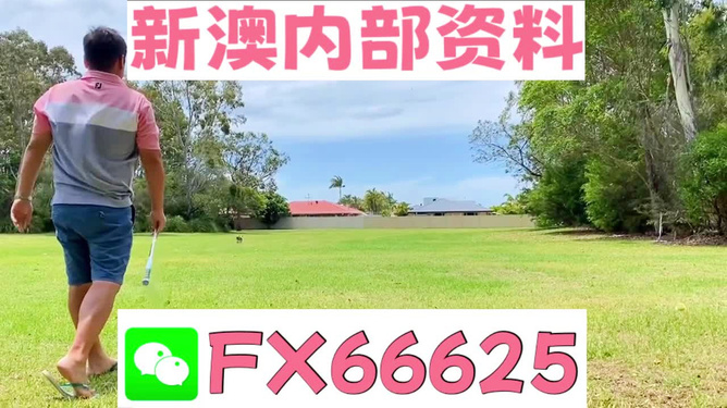 王中王一碼二肖，揭秘背后的秘密，揭秘王中王一碼二肖背后的秘密