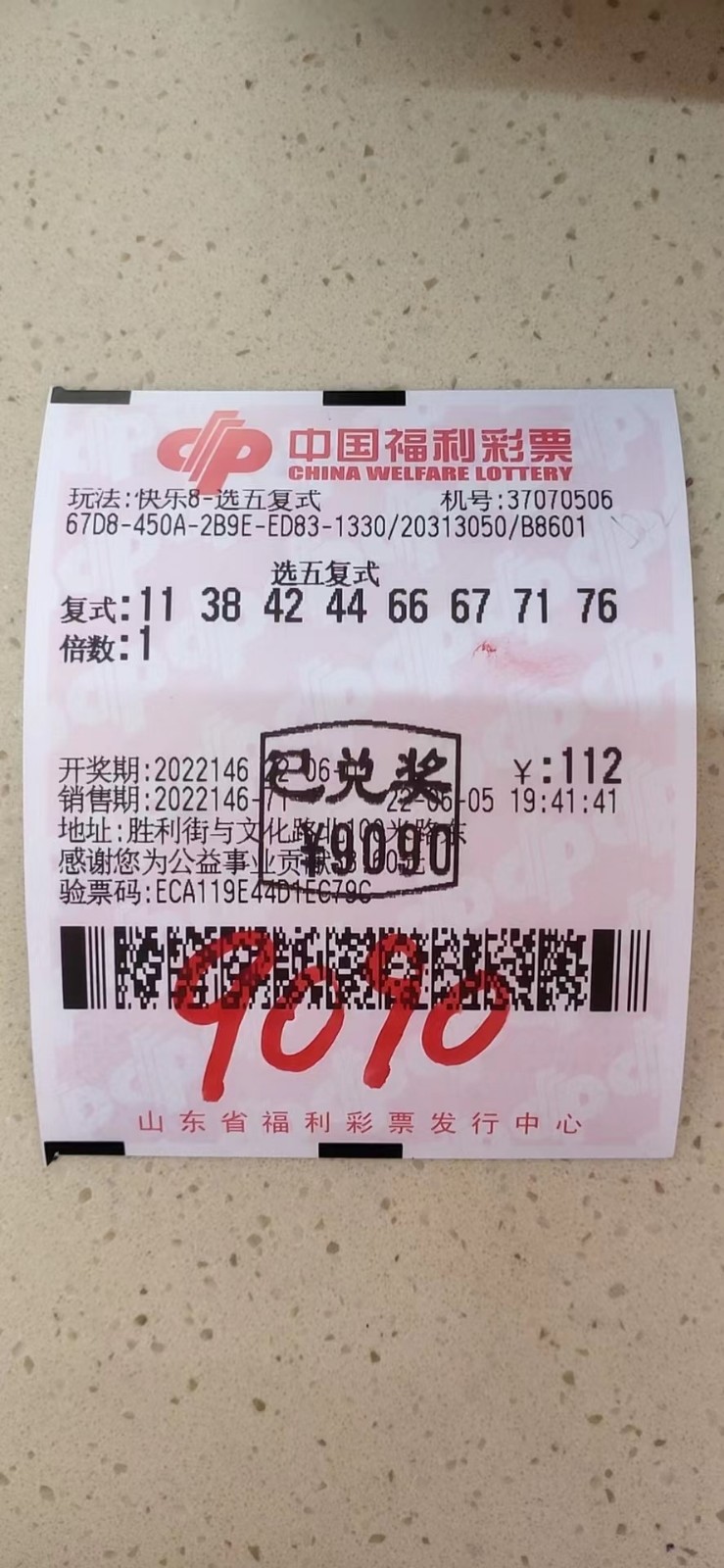 揭秘002期王中王平特一肖，背后的故事與奧秘，揭秘王中王平特一肖背后的故事與奧秘（第002期）