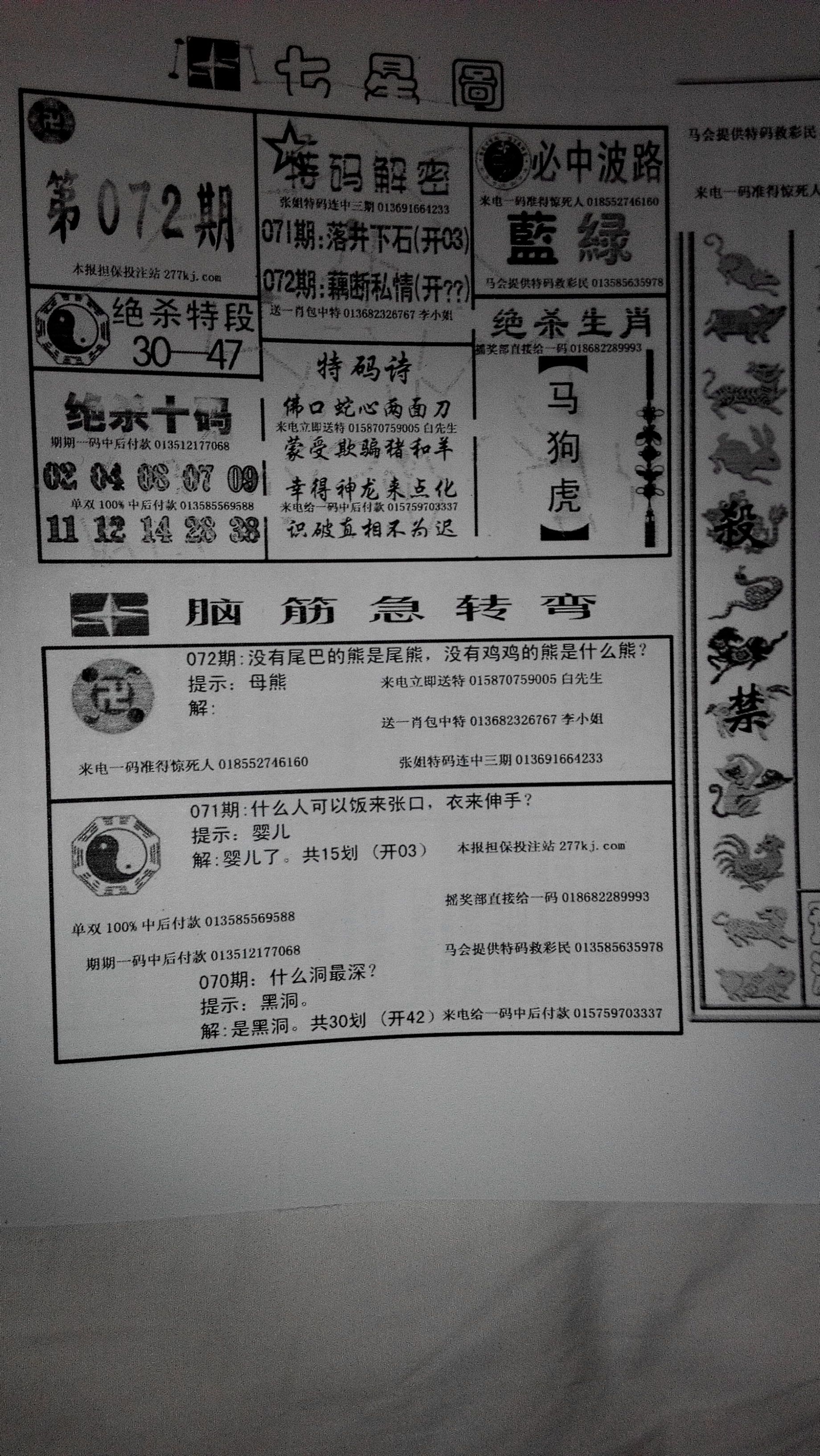 王中王211期指一生肖，深度解析與預(yù)測，王中王211期生肖深度解析與預(yù)測，揭秘未來走向