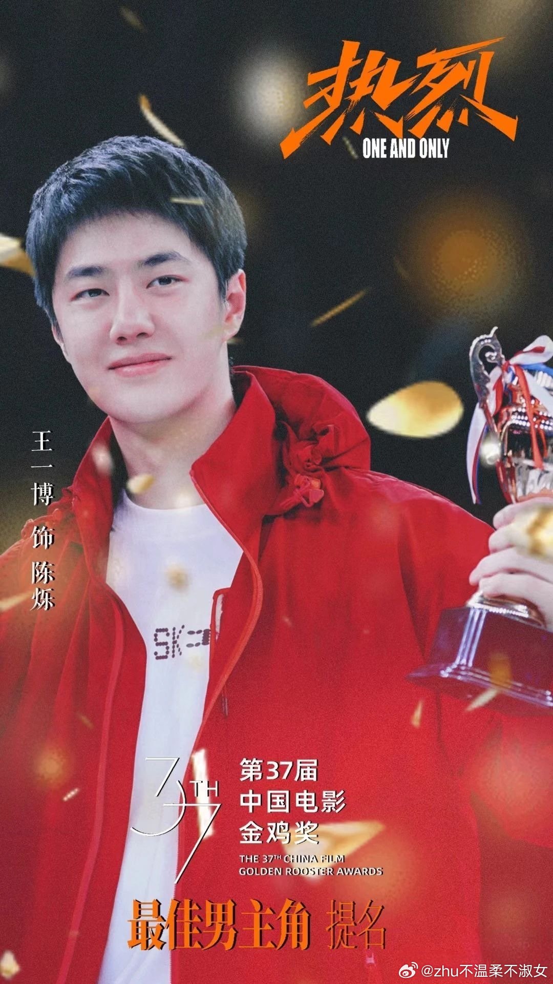 王中王一肖一特一中一中，探尋背后的故事與奧秘，探尋王中王一肖背后的故事與奧秘