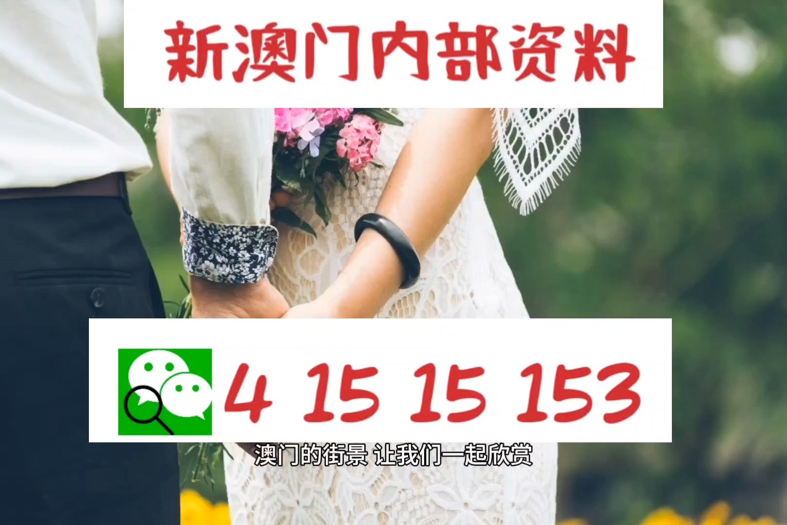 新澳精準資料，深度解析與探索，新澳精準資料深度解析與探索之旅