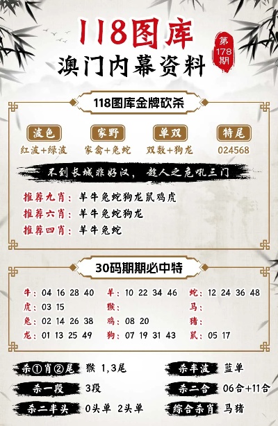 新澳新澳門正版資料，探索與解析，新澳新澳門正版資料深度解析與探索