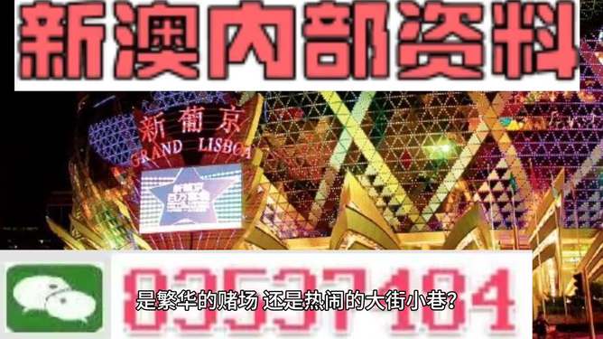 新澳門精準(zhǔn)資料大全管家婆料，探索與解析，澳門精準(zhǔn)資料大全解析，探索管家婆料內(nèi)幕