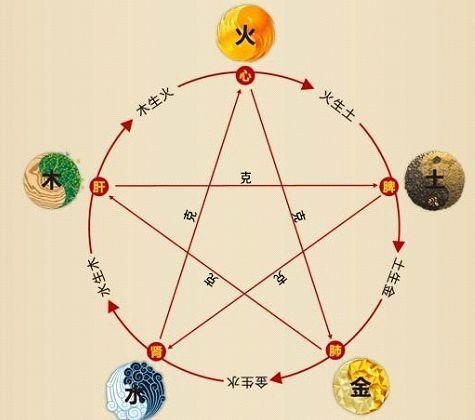 鐵算算盤4887最準(zhǔn)資料，揭秘其背后的秘密與優(yōu)勢(shì)，揭秘鐵算算盤4887，最準(zhǔn)資料背后的秘密與優(yōu)勢(shì)
