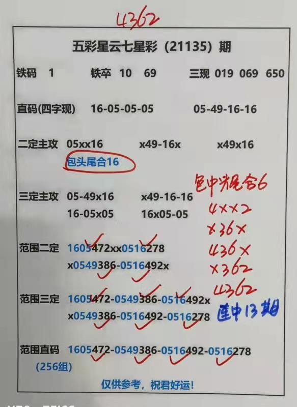迎接美好未來，2025天天好彩，迎接美好未來，2025年天天精彩無限