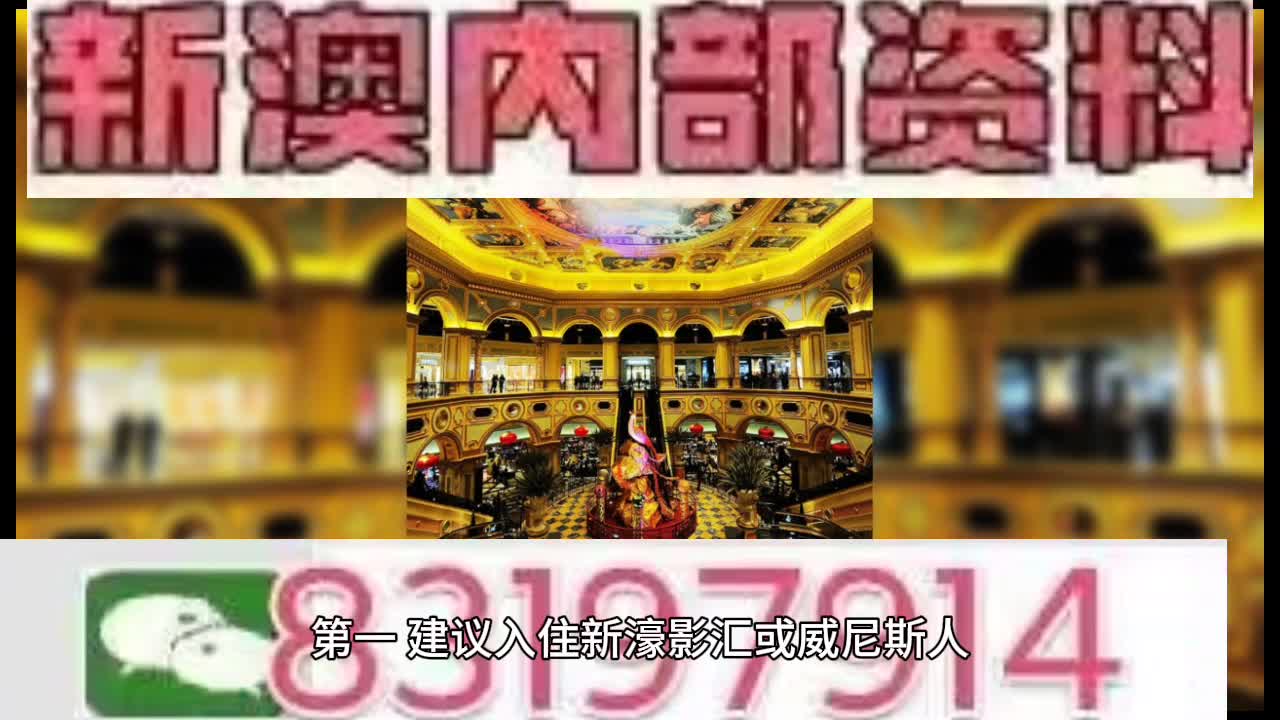 新澳門特肖生肖的奧秘與風(fēng)水文化，澳門生肖奧秘與風(fēng)水文化探索