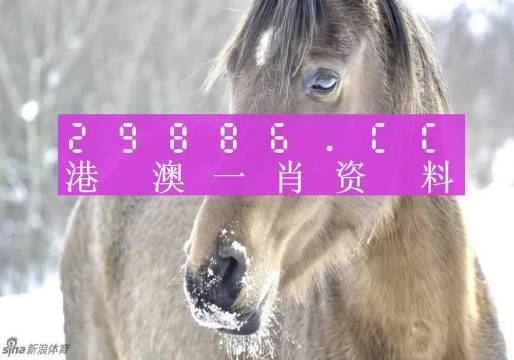澳門一肖一碼，揭秘一個關(guān)于精準預(yù)測背后的故事，澳門一肖一碼揭秘，精準預(yù)測背后的神秘故事