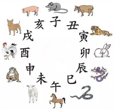 澳門天天彩期期精準(zhǔn)十二生肖預(yù)測——揭秘彩票秘密，澳門天天彩期期精準(zhǔn)十二生肖預(yù)測，揭秘彩票秘密之獨(dú)家解析
