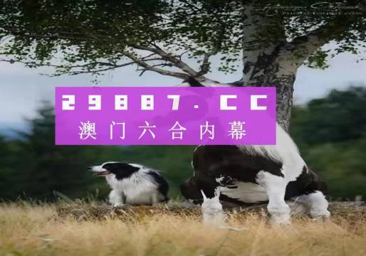 揭秘7777788888精準(zhǔn)新跑狗——全方位解讀與體驗(yàn)，揭秘精準(zhǔn)新跑狗，全方位解讀與體驗(yàn)7777788888跑狗秘籍