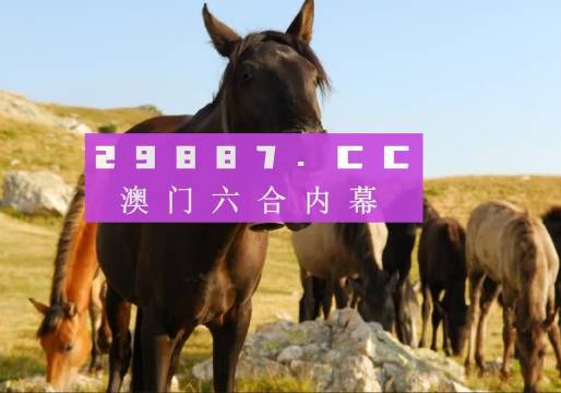 澳門(mén)管家婆一肖中特與香港阿飛免費(fèi)印刷圖庫(kù)的獨(dú)特魅力 —— 2024澳門(mén)天天開(kāi)好彩大全探索，澳門(mén)管家婆與香港阿飛圖庫(kù)魅力探索，2024澳門(mén)天天彩好彩大全揭秘