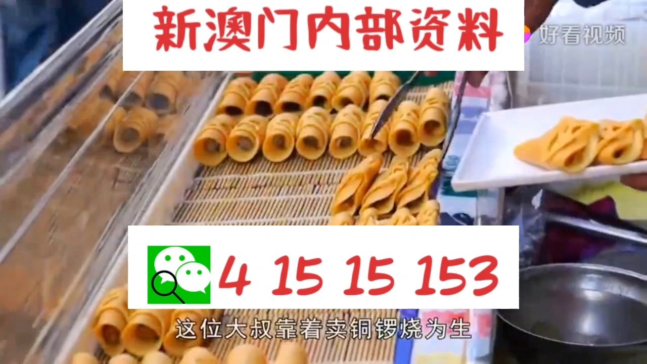 新天天彩免費資料大全300期，探索彩票世界的奧秘與機會，探索彩票世界奧秘與機會的新天天彩免費資料大全300期