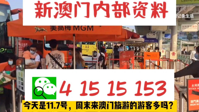 新澳今晚上9點(diǎn)30開(kāi)獎(jiǎng)直播視頻——全方位解讀與體驗(yàn)，新澳今晚9點(diǎn)30開(kāi)獎(jiǎng)直播全方位解讀與體驗(yàn)獨(dú)家呈現(xiàn)