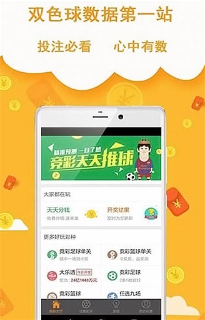 王中王493333中特網(wǎng)，探索與解析，王中王493333中特網(wǎng)，深度探索與解析