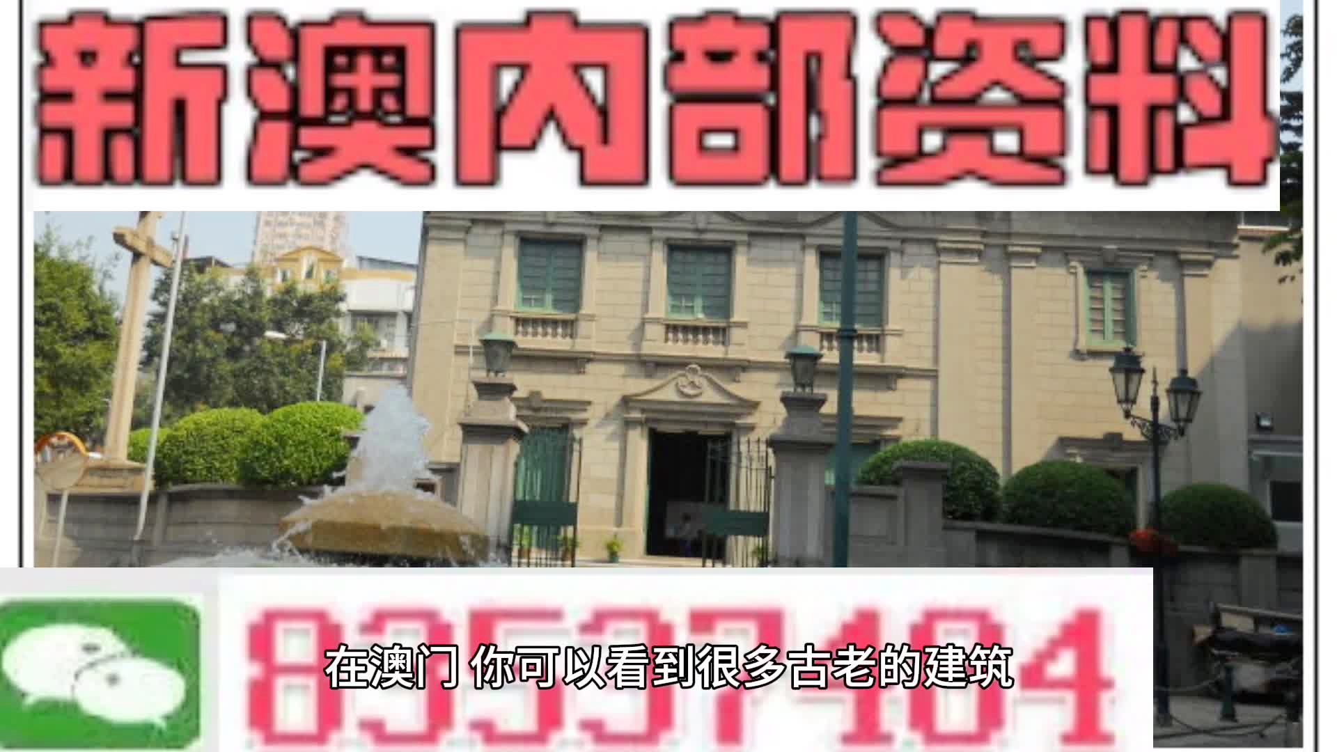 新門內(nèi)部資料大全更新，掌握最新資源，引領(lǐng)行業(yè)前沿，新門內(nèi)部資料更新引領(lǐng)行業(yè)前沿掌握最新資源大全