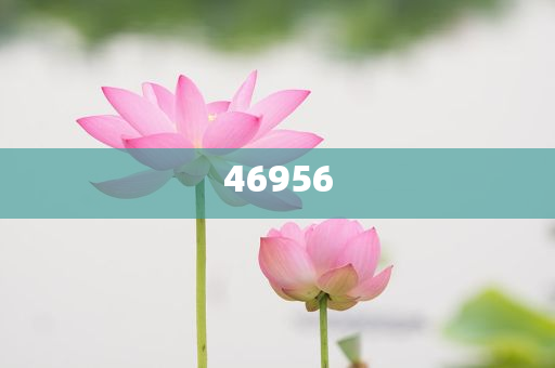 新奧集團，邁向2025，天天開好彩的愿景與挑戰(zhàn)，新奧集團邁向2025，實現(xiàn)天天開好彩的愿景與挑戰(zhàn)